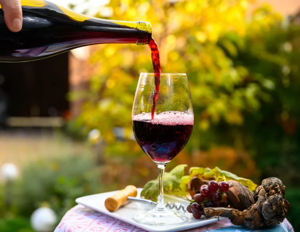 Vins d'Alsace à Orschwihr