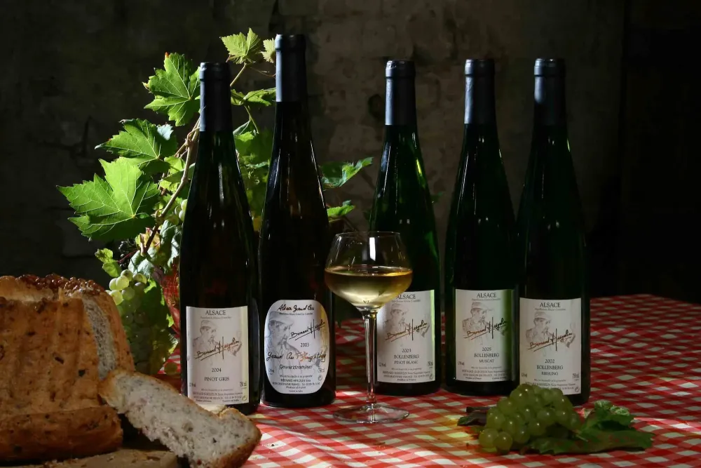 Vin nature à Orschwihr