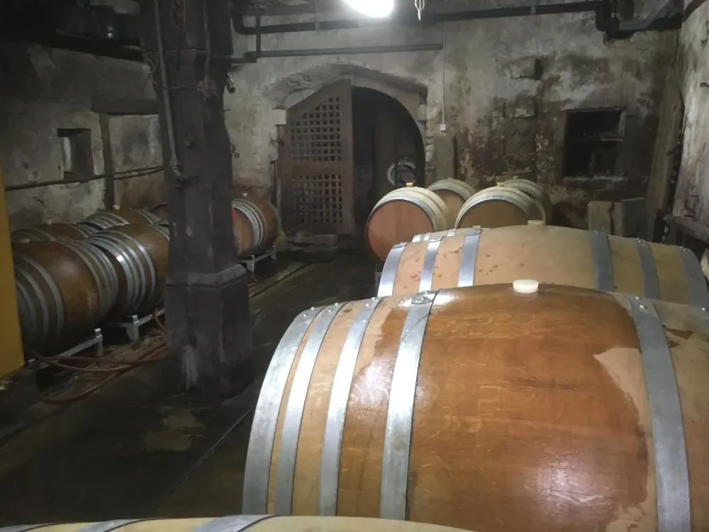 Cave à vin à Orschwihr